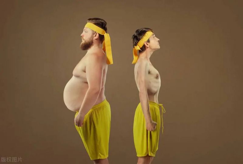 胖子增肌 vs 瘦子增肌，二者有几个方面的区别？
